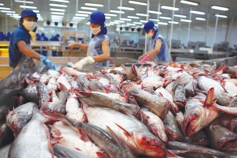 <a href="/nong-nghiep" title="Nông nghiệp" rel="dofollow">nông nghiệp</a>