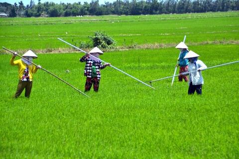 <a href="/nong-nghiep" title="Nông nghiệp" rel="dofollow">nông nghiệp</a>