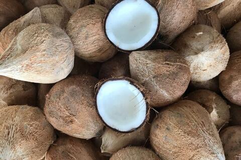 <a href="/xuat-khau" title="Xuất khẩu" rel="dofollow">Xuất khẩu</a>