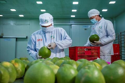 <a href="/xuat-khau" title="Xuất khẩu" rel="dofollow">Xuất khẩu</a>