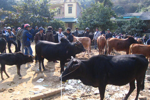 <a href="/nong-thon-moi" title="Nông thôn mới" rel="dofollow">Nông thôn mới</a>