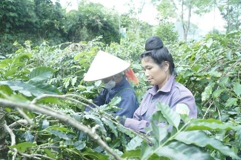 <a href="/chinh-sach" title="Chính sách" rel="dofollow">Chính sách</a>