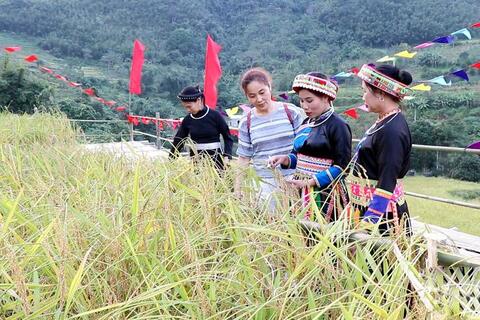 <a href="/nong-nghiep" title="Nông nghiệp" rel="dofollow">nông nghiệp</a>