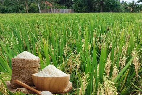 <a href="/nong-nghiep" title="Nông nghiệp" rel="dofollow">nông nghiệp</a>