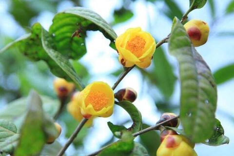 <a href="/nong-thon-moi" title="Nông thôn mới" rel="dofollow">Nông thôn mới</a>