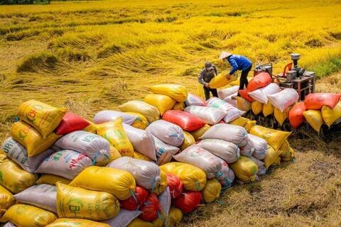 <a href="/xuat-khau" title="Xuất khẩu" rel="dofollow">Xuất khẩu</a>