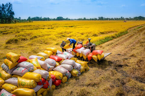 <a href="/xuat-khau" title="Xuất khẩu" rel="dofollow">Xuất khẩu</a>