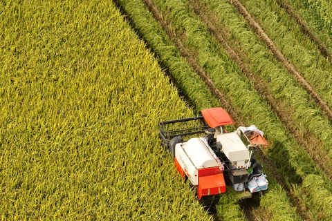 <a href="/nong-nghiep" title="Nông nghiệp" rel="dofollow">nông nghiệp</a>