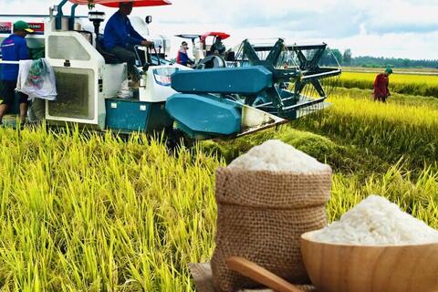 <a href="/nong-nghiep" title="Nông nghiệp" rel="dofollow">nông nghiệp</a>