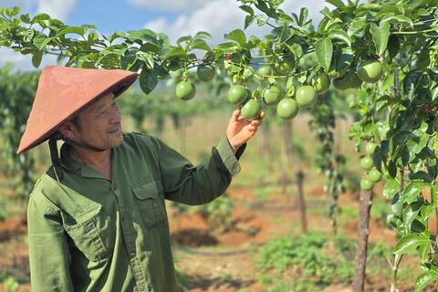 <a href="/xuat-khau" title="Xuất khẩu" rel="dofollow">Xuất khẩu</a>