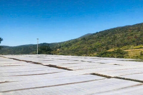 <a href="/nong-thon-moi" title="Nông thôn mới" rel="dofollow">Nông thôn mới</a>