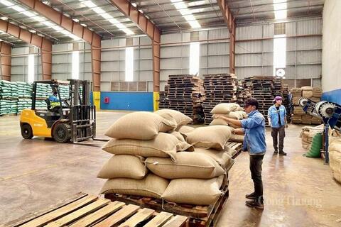 <a href="/xuat-khau" title="Xuất khẩu" rel="dofollow">Xuất khẩu</a>