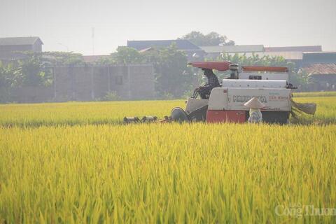 <a href="/xuat-khau" title="Xuất khẩu" rel="dofollow">Xuất khẩu</a>