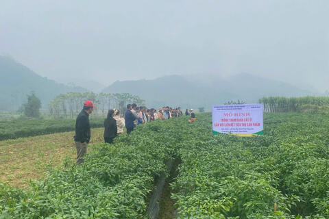 <a href="/nong-thon-moi" title="Nông thôn mới" rel="dofollow">Nông thôn mới</a>