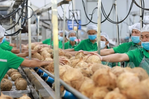 <a href="/xuat-khau" title="Xuất khẩu" rel="dofollow">Xuất khẩu</a>