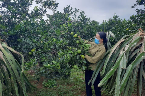 <a href="/nong-thon-moi" title="Nông thôn mới" rel="dofollow">Nông thôn mới</a>