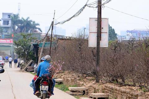 <a href="/nong-nghiep" title="Nông nghiệp" rel="dofollow">nông nghiệp</a>