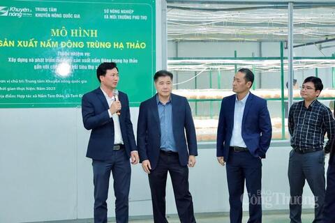 <a href="/nong-nghiep" title="Nông nghiệp" rel="dofollow">nông nghiệp</a>