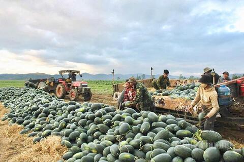 <a href="/nong-nghiep" title="Nông nghiệp" rel="dofollow">nông nghiệp</a>