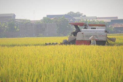 <a href="/nong-nghiep" title="Nông nghiệp" rel="dofollow">nông nghiệp</a>