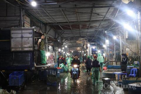 <a href="/nong-nghiep" title="Nông nghiệp" rel="dofollow">nông nghiệp</a>