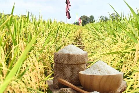 <a href="/nong-nghiep" title="Nông nghiệp" rel="dofollow">nông nghiệp</a>