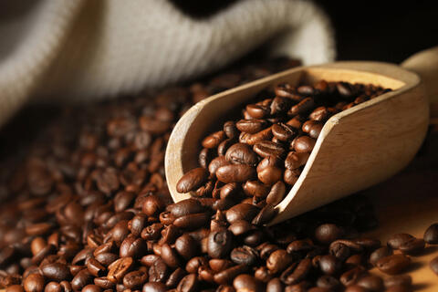 <a href="/nong-nghiep" title="Nông nghiệp" rel="dofollow">nông nghiệp</a>