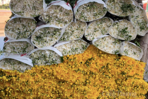 <a href="/nong-nghiep" title="Nông nghiệp" rel="dofollow">nông nghiệp</a>