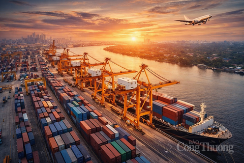 <a href="/xuat-khau" title="Xuất khẩu" rel="dofollow">Xuất khẩu</a>