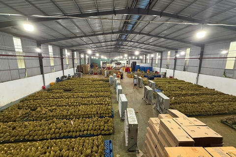 <a href="/xuat-khau" title="Xuất khẩu" rel="dofollow">Xuất khẩu</a>