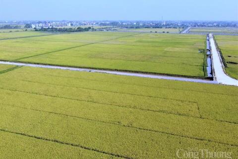 <a href="/xuat-khau" title="Xuất khẩu" rel="dofollow">Xuất khẩu</a>