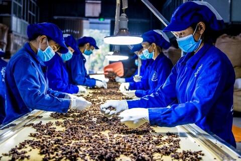 <a href="/nong-nghiep" title="Nông nghiệp" rel="dofollow">nông nghiệp</a>