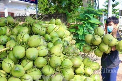 <a href="/xuat-khau" title="Xuất khẩu" rel="dofollow">Xuất khẩu</a>