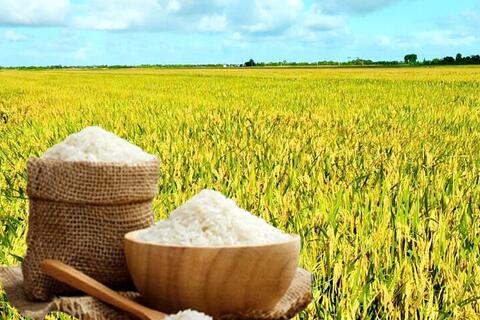 <a href="/nong-nghiep" title="Nông nghiệp" rel="dofollow">nông nghiệp</a>