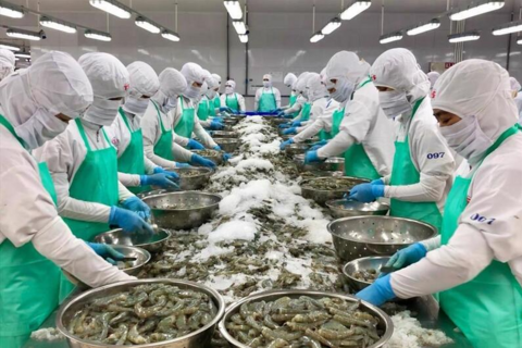 <a href="/xuat-khau" title="Xuất khẩu" rel="dofollow">Xuất khẩu</a>