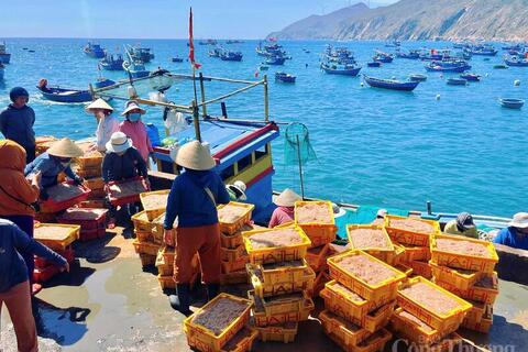 <a href="/nong-nghiep" title="Nông nghiệp" rel="dofollow">nông nghiệp</a>