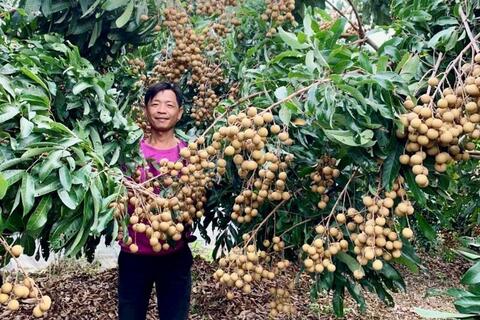 <a href="/nong-nghiep" title="Nông nghiệp" rel="dofollow">nông nghiệp</a>