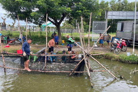 <a href="/nong-nghiep" title="Nông nghiệp" rel="dofollow">nông nghiệp</a>