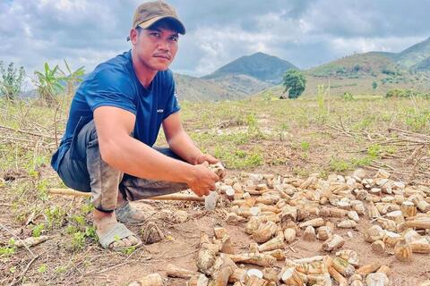 <a href="/nong-nghiep" title="Nông nghiệp" rel="dofollow">nông nghiệp</a>