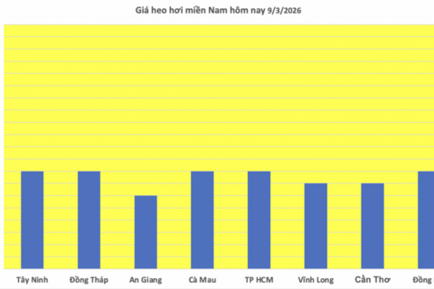 <a href="/nong-nghiep" title="Nông nghiệp" rel="dofollow">nông nghiệp</a>