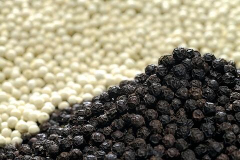 <a href="/xuat-khau" title="Xuất khẩu" rel="dofollow">Xuất khẩu</a>