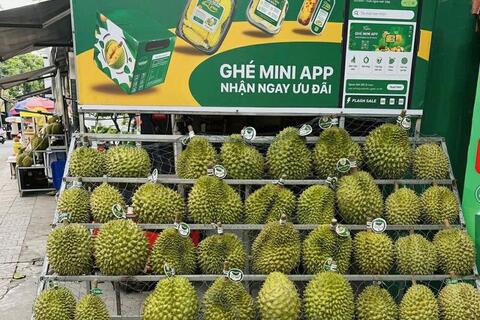 <a href="/nong-nghiep" title="Nông nghiệp" rel="dofollow">nông nghiệp</a>