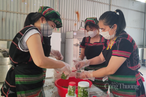 <a href="/nong-thon-moi" title="Nông thôn mới" rel="dofollow">Nông thôn mới</a>