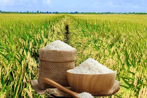 <a href="/nong-nghiep" title="Nông nghiệp" rel="dofollow">nông nghiệp</a>