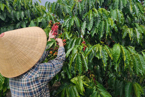 <a href="/nong-nghiep" title="Nông nghiệp" rel="dofollow">nông nghiệp</a>