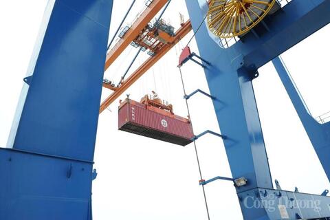 <a href="/xuat-khau" title="Xuất khẩu" rel="dofollow">Xuất khẩu</a>