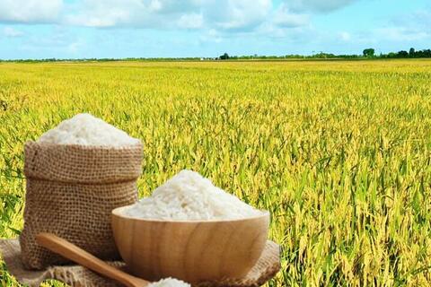 <a href="/nong-nghiep" title="Nông nghiệp" rel="dofollow">nông nghiệp</a>