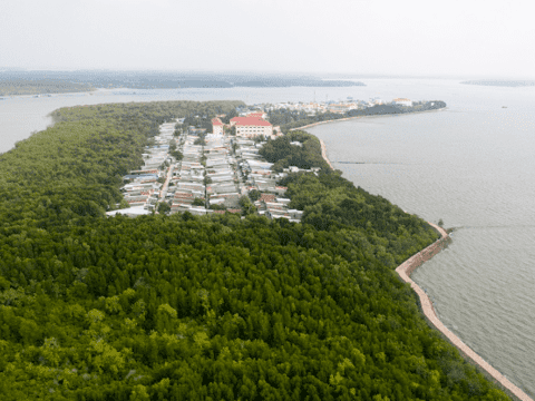 TPHCM hướng tới sản xuất năng lượng sạch