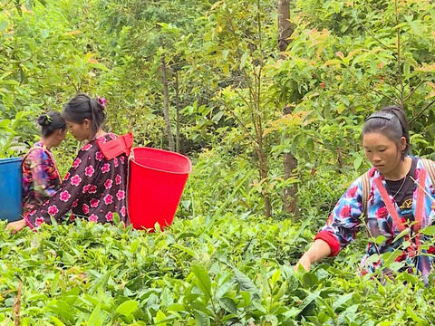 Điện Biên bứt phá giảm nghèo bền vững từ đầu tư hạ tầng đến nâng cao năng lực người dân