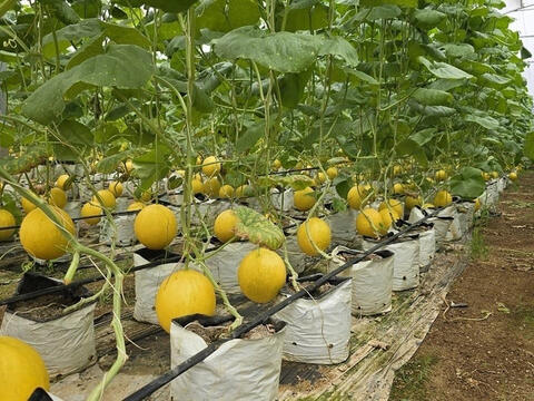 Ứng dụng khoa học và công nghệ tăng hiệu quả công tác nghèo bền vững ở Thanh Hóa